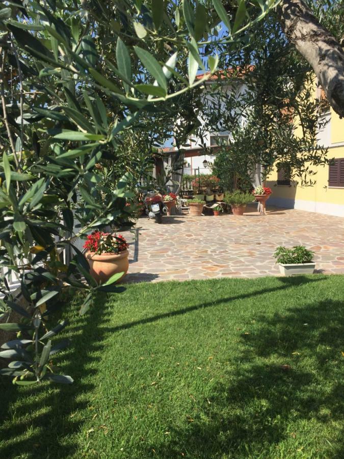Luca'S Home In Tuscany Arena Metato Exterior photo